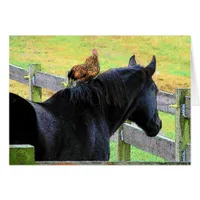 Rooster And Mare