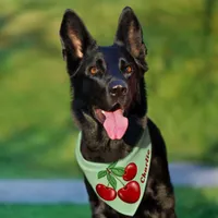 Red Cherries Personalized Pet Bandana Collar