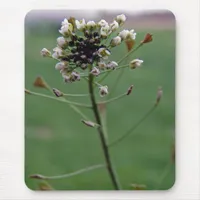 Shepherd's Purse Mouse Pad