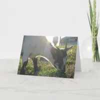 Thumbi Card