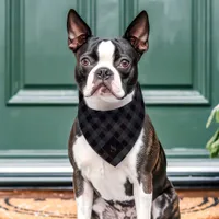 Black And Gray Diagonal Buffalo Plaid Monogram Pet Bandana Collar