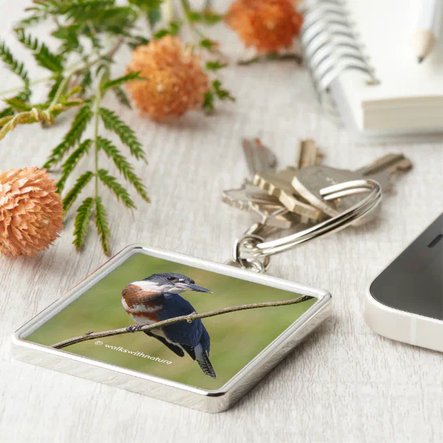 Stunning Belted Kingfisher Bird on a Limb Keychain