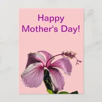 Pink Hibiscus Flower Side View Mother's Day Postcard