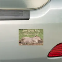 Soak Up the Rays, Capybara-style! Car Magnet