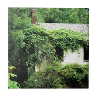Abandoned White House in the Woods Tile