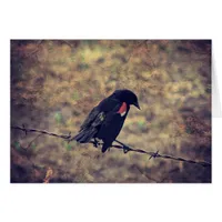 Red Winged Blackbird Blank Inside Greeting Card