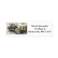 Return Mailing Address Labels with Cute Turtle