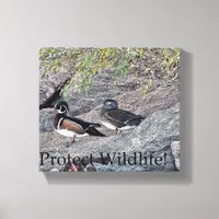 Wood Ducks Protect Wildlife Canvas Print