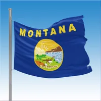 Montana State House Flag