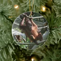 Baby Orangutan - Hang in there Ceramic Ornament