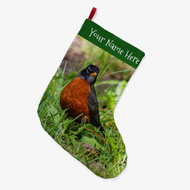 A Curious American Robin in the Grass Large Christmas Stocking