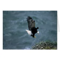 Bald Eagle Landing on Nest All Occasions Greeting 