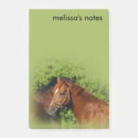 Beautiful Chestnut Horses in the Summer Sun Post-it Notes