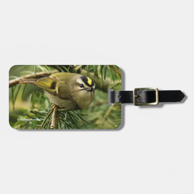 Cute Little Kinglet Causes a Stir in the Fir Luggage Tag