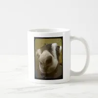 Camera Yum! Coffee Mug