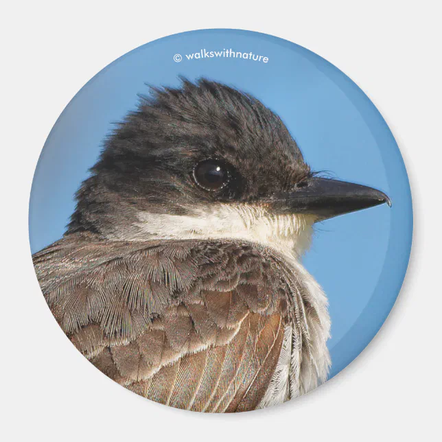 Eastern Kingbird on a Branch Magnet