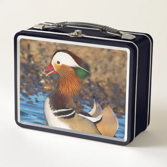 Beautiful Chatty Mandarin Duck at the Pond Metal Lunch Box