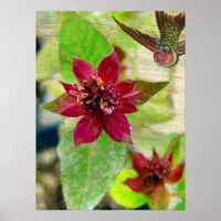 Pretty Plant
