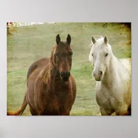 Two Horse Friends Poster