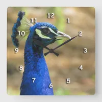 Clock - Peacock Portrait