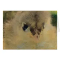 Blue Cochin Chick