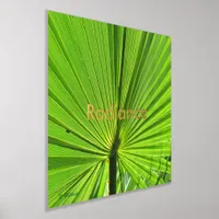 Poster - Radiant Palm Frond