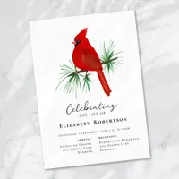 Red Cardinal Bird Funeral  Invitation