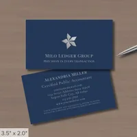 Modern Professional Silver Logo Business Card