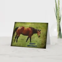 Bay Horse, Birthday Card