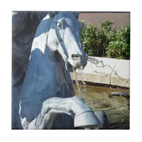 Neptune's Horse, Plaza Fountain Detail Tile