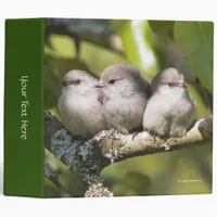 Cute Baby Bushtit Songbirds in the Pear Tree 3 Ring Binder