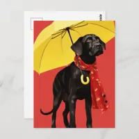 Dog With A Yellow Umbrella Postcard