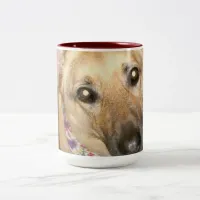 Adorable German Shepherd Black Tan Close-Up Face Two-Tone Coffee Mug