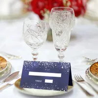 Birthday party navy blue silver glitter sparkles place card