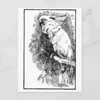 Birdy Postcard