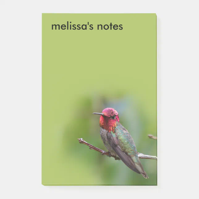 Stunning Anna's Hummingbird on Fruit Tree Post-it Notes