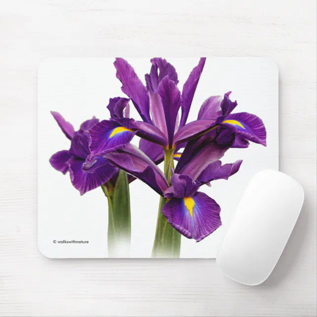 Elegant Dutch Iris Purple Sensation Flowers Mouse Pad