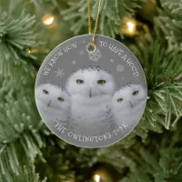 Funny We Know How to Have a Hoot Family Snowy Owls Ceramic Ornament