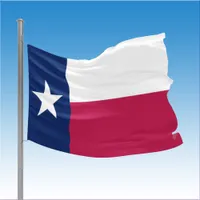 Texas State House Flag