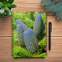 Big Blue Korean Fir Cones Notebook