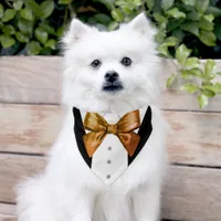 Black Tuxedo Suit Metal orange Bow Tie Pet Bandana Collar