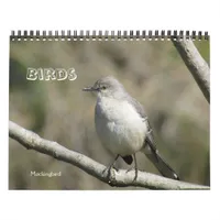 Calendar - Birds (large dates)