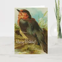 Robin Birthday Card