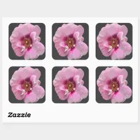 Pink rose with Purple Heart - oil painting Square Sticker