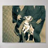 Dog on Phone Poster