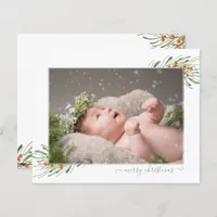 Budget Elegant Foliage Berries Christmas Photo