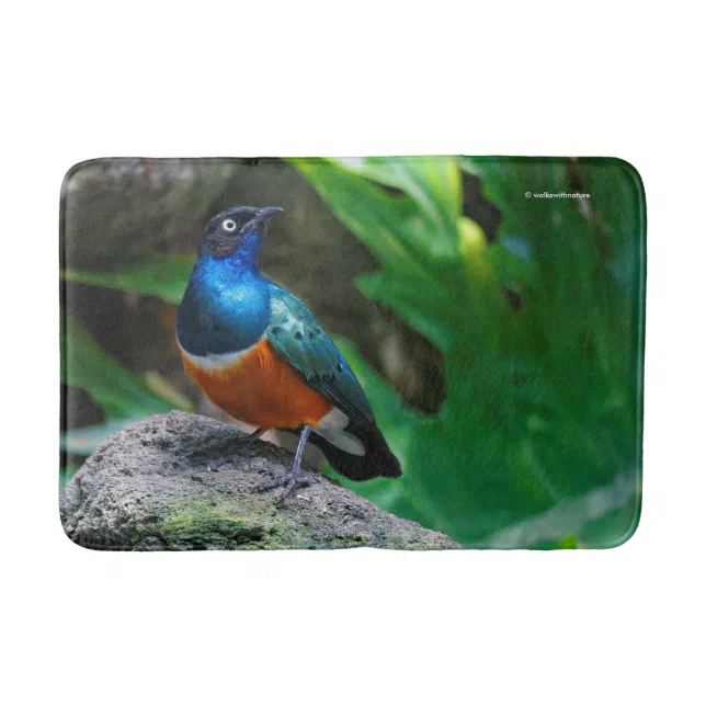 A Stunning African Superb Starling Bath Mat