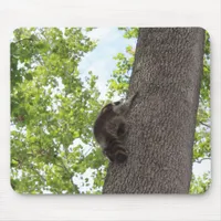 Baby Raccoon Mouse Pad