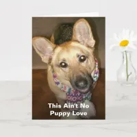 This Ain't No Puppy Love Happy Anniversary Card