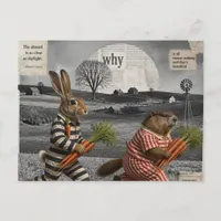 Funny Groundhog and Rabbit Carrot Heist Postcard